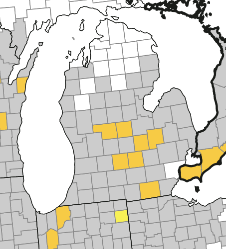 A map of Michigan with some counties highlighted yellow showing
